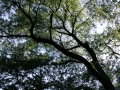 IMG_5757.JPG